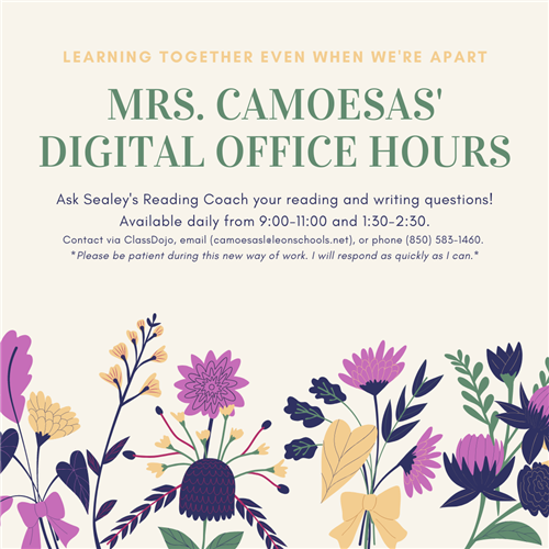 Mrs. Camoesas is available from 9-11 and 1:30-2:30. 
